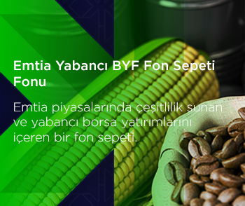 Emtia Yabancı BYF Fon Sepeti Fonu 